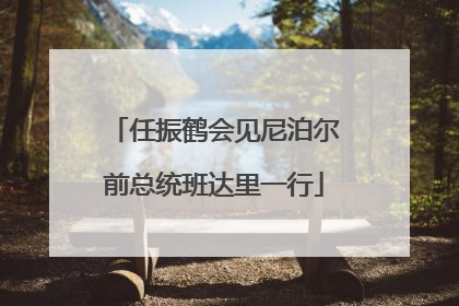 任振鹤会见尼泊尔前总统班达里一行