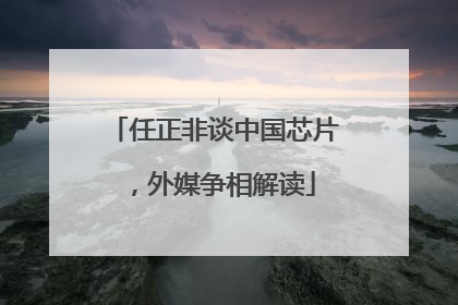 任正非谈中国芯片，外媒争相解读
