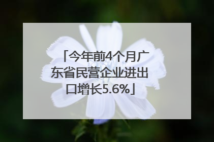今年前4个月广东省民营企业进出口增长5.6%