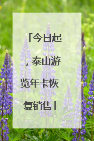 今日起，泰山游览年卡恢复销售