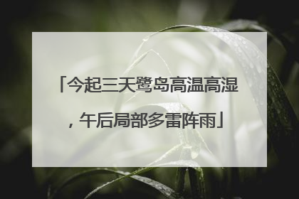 今起三天鹭岛高温高湿，午后局部多雷阵雨