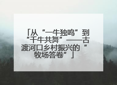 从“一牛独鸣”到“千牛共舞”——古渡河口乡村振兴的“牧场答卷”