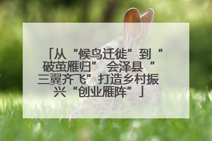 从“候鸟迁徙”到“破茧雁归” 会泽县“三翼齐飞”打造乡村振兴“创业雁阵”