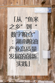 从“鱼米之乡”到“数字粮仓”：湖南粮油产业高质量发展的创新实践