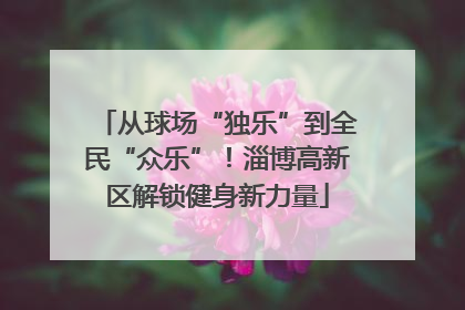 从球场“独乐”到全民“众乐”！淄博高新区解锁健身新力量