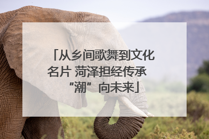 从乡间歌舞到文化名片 菏泽担经传承“潮”向未来