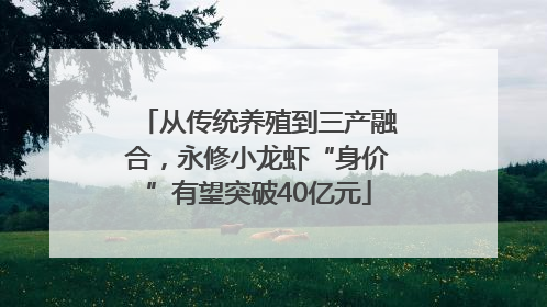 从传统养殖到三产融合，永修小龙虾“身价”有望突破40亿元