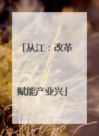 从江：改革赋能产业兴