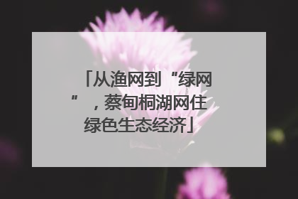 从渔网到“绿网”，蔡甸桐湖网住绿色生态经济
