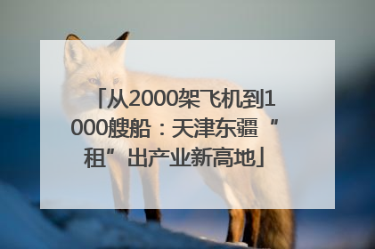 从2000架飞机到1000艘船：天津东疆“租”出产业新高地