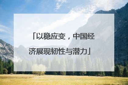 以稳应变，中国经济展现韧性与潜力