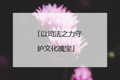 以司法之力守护文化瑰宝