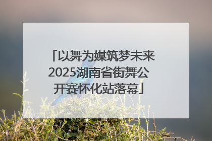 以舞为媒筑梦未来 2025湖南省街舞公开赛怀化站落幕