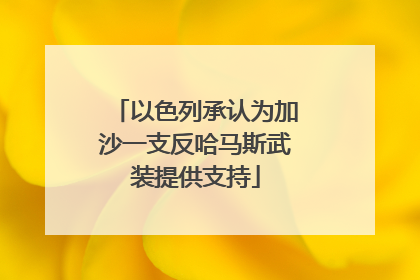 以色列承认为加沙一支反哈马斯武装提供支持