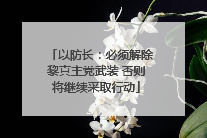 以防长：必须解除黎真主党武装 否则将继续采取行动
