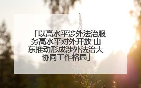 以高水平涉外法治服务高水平对外开放 山东推动形成涉外法治大协同工作格局