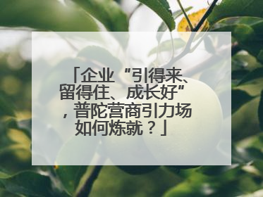 企业“引得来、留得住、成长好”，普陀营商引力场如何炼就？