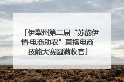 伊犁州第二届“苏韵伊情·电商助农”直播电商技能大赛圆满收官