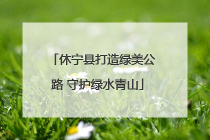 休宁县打造绿美公路 守护绿水青山