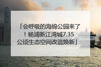 会呼吸的海绵公园来了！杨浦新江湾城7.35公顷生态空间改造焕新
