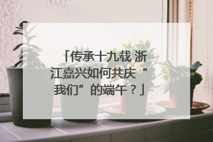 传承十九载 浙江嘉兴如何共庆“我们”的端午？