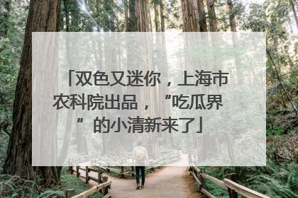 双色又迷你，上海市农科院出品，“吃瓜界”的小清新来了
