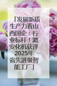 发展新质生产力看山西国企：行业标杆！潞安化机获评2025年省先进级智能工厂