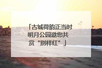 古城荷韵正当时 明月公园邀您共赏“别样红”
