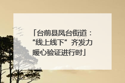 台前县凤台街道：“线上线下”齐发力 暖心验证进行时