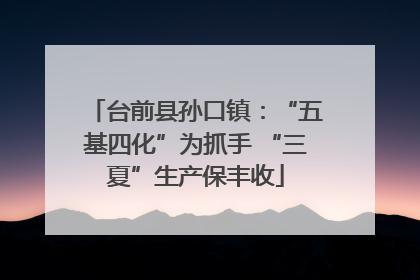 台前县孙口镇：“五基四化”为抓手 “三夏”生产保丰收