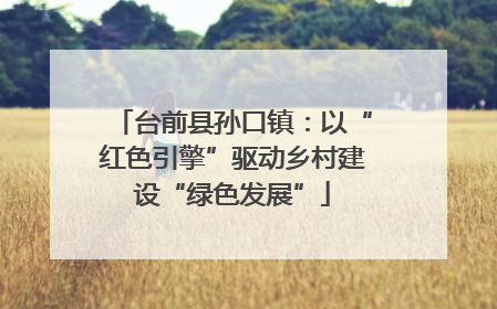 台前县孙口镇：以“红色引擎”驱动乡村建设“绿色发展”