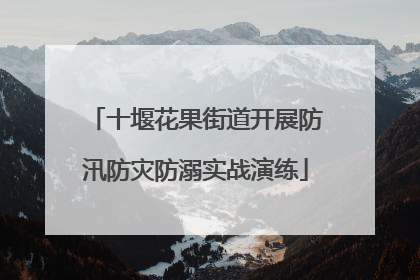 十堰花果街道开展防汛防灾防溺实战演练