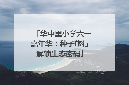 华中里小学六一嘉年华：种子旅行解锁生态密码