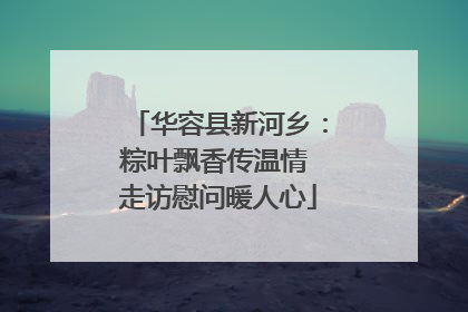 华容县新河乡：粽叶飘香传温情 走访慰问暖人心