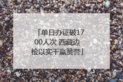 单日办证破1700人次 西藏边检以实干赢赞誉