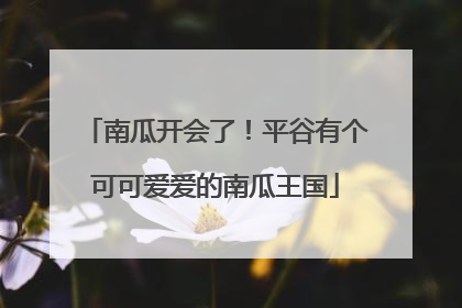 南瓜开会了！平谷有个可可爱爱的南瓜王国