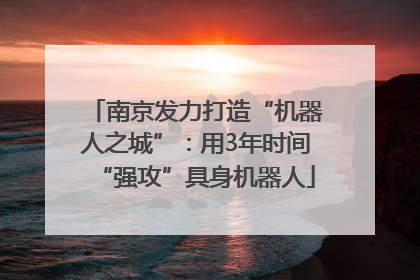 南京发力打造“机器人之城”：用3年时间“强攻”具身机器人