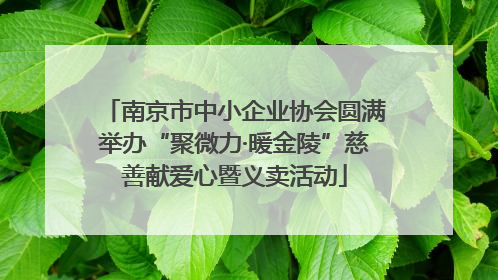 南京市中小企业协会圆满举办“聚微力·暖金陵”慈善献爱心暨义卖活动