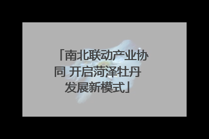 南北联动产业协同 开启菏泽牡丹发展新模式