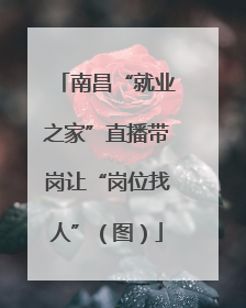 南昌“就业之家”直播带岗让“岗位找人”（图）