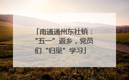南通通州东社镇：“五一”返乡，党员们“归巢”学习
