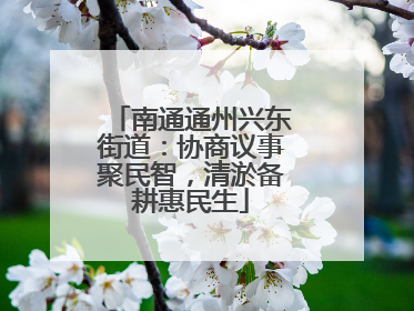 南通通州兴东街道:协商议事聚民智,清淤备耕惠民生