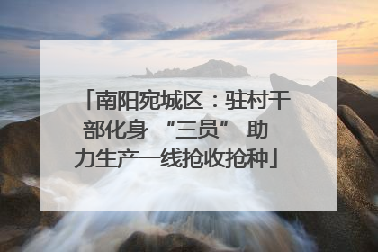 南阳宛城区：驻村干部化身 “三员” 助力生产一线抢收抢种
