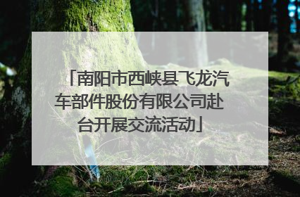 南阳市西峡县飞龙汽车部件股份有限公司赴台开展交流活动