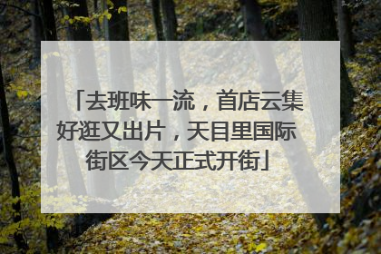 去班味一流，首店云集好逛又出片，天目里国际街区今天正式开街