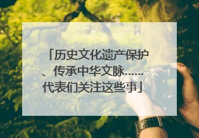 历史文化遗产保护、传承中华文脉……代表们关注这些事