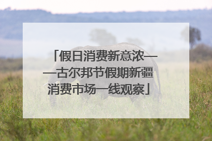 假日消费新意浓——古尔邦节假期新疆消费市场一线观察