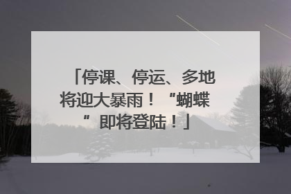 停课、停运、多地将迎大暴雨！“蝴蝶”即将登陆！