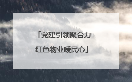 党建引领聚合力 红色物业暖民心