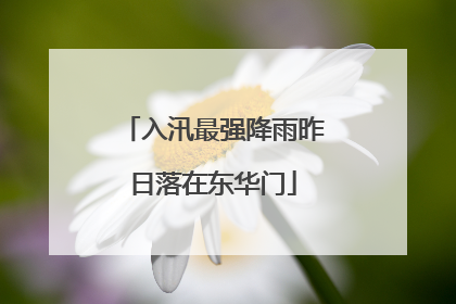 入汛最强降雨昨日落在东华门